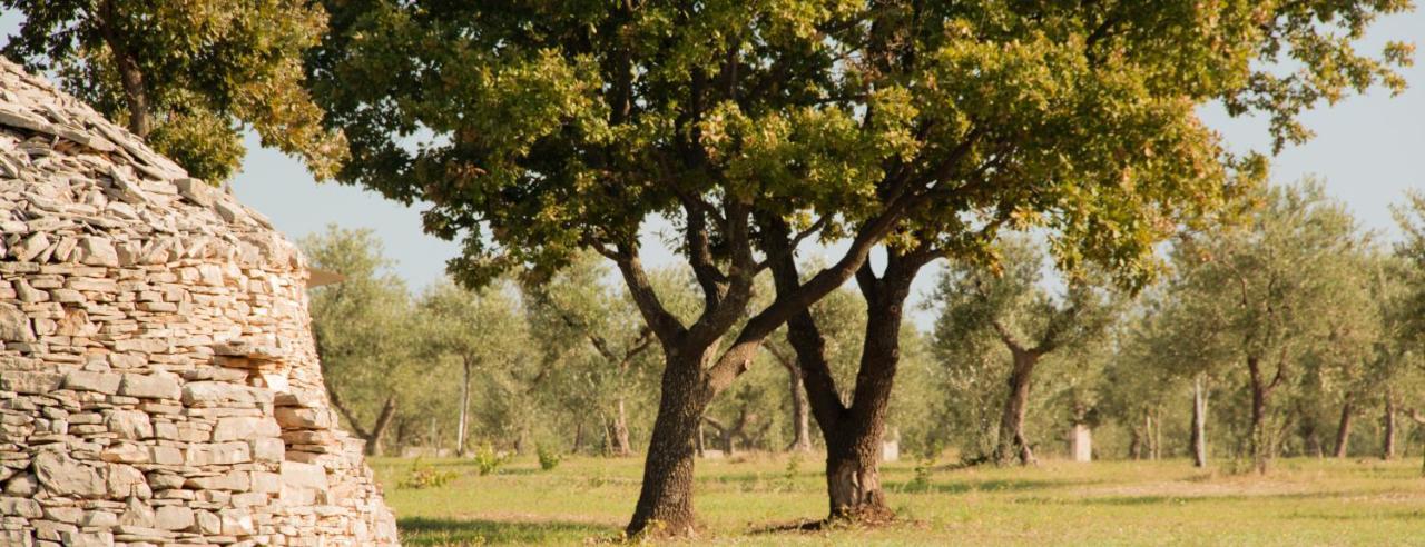 Appartamento Terre Di Sveva Castel Del Monte  Esterno foto