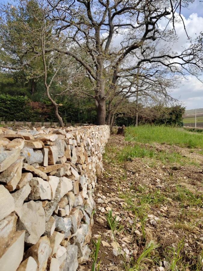 Appartamento Terre Di Sveva Castel Del Monte  Esterno foto